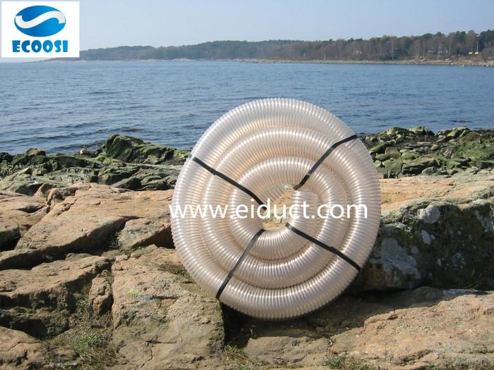 featured_image